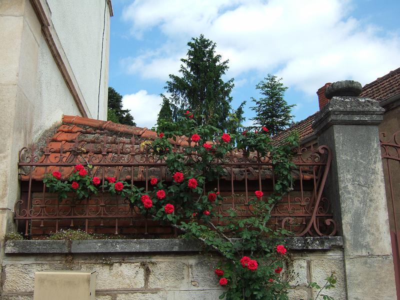 2010-05- (51).JPG
